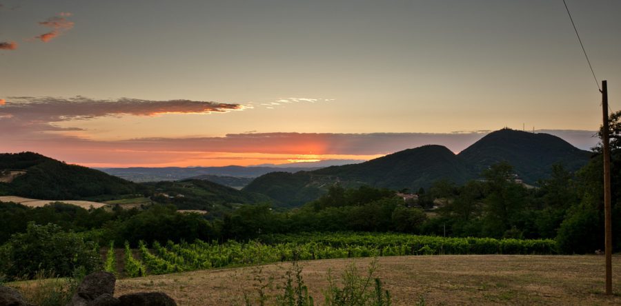 Primo: una strategia di promozione turistica
