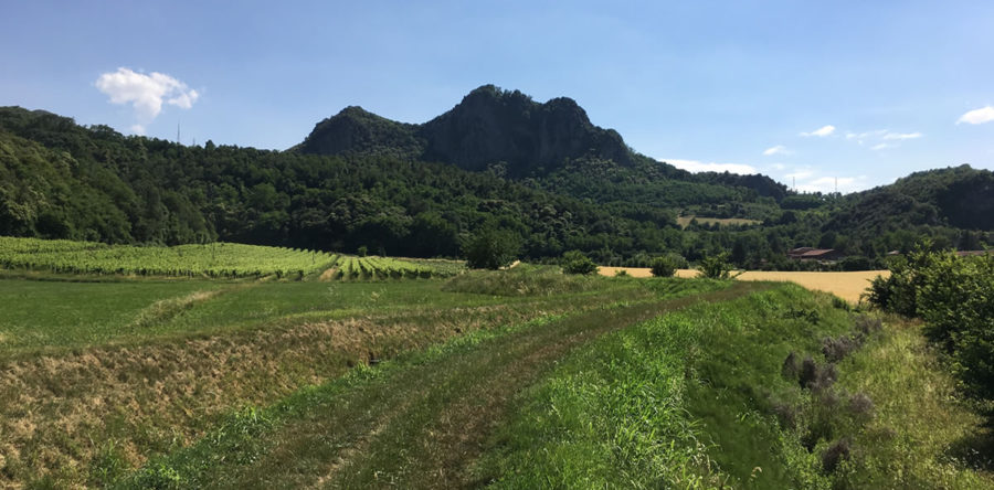 L’agricoltura che vorrei