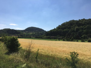 Oro dei Colli - Teolo